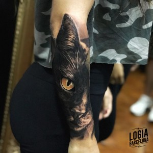tatuaje_realismo_gato_brazo_Logia_Barcelona_Eduar_Cardona 